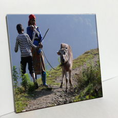 HTP 瓷磚 喜馬拉雅 健行 C1447