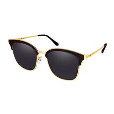챔피온 선글라스 CH-101S, SOLID SMOKE + SEMI MATTE DARK BROWN TORTOISE(CH-101S-2), 1개
