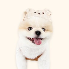 ITS DOG 狗狗My Bear燈芯絨帽, 棕色