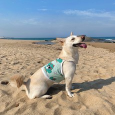 Barkdog 狗狗機能性卡通圖案涼感短版T恤, 1個, 仙人掌(薄荷綠)