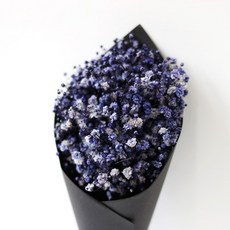 ROMANTIC NOVEMBER 乾燥花 永生花 迷你花束 黑色, 滿天星 紫色