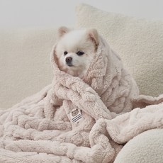 도그아이 반려동물 펫 꽈배기 담요, 아이보리, 1개 아이보리, 1개