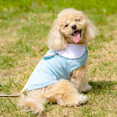 PETRIUM 狗狗So Cool涼感背心, 1個, 天藍色