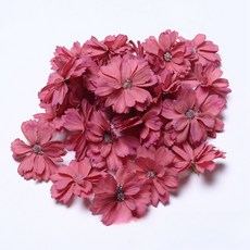 Maket Gamseong 乾燥花裝飾花 08 70p, 混色