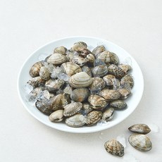 바다림 중국산 생물 바지락, 1개, 800g