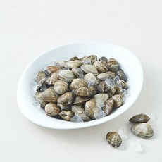 바다림 중국산 생물 바지락, 1개, 500g