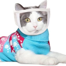 케리빙 고양이 마스크 미용 얼굴 가리개 S, 투명, 1개
