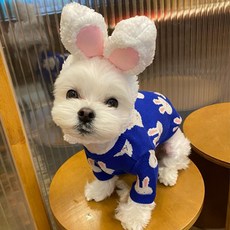 한별나라 강아지 고급스러운 버니 스웨터, 블루, 1개