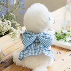 PETSLAND 狗狗緞帶胸背帶, 1個, 天空藍