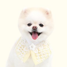 ITS DOG 狗狗翩翩飛舞韓服斗篷, 黃色