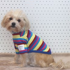 DOGGY STAR 寵物狗條紋大學T棉T恤, 淡黃色 + 紫紅色, 1個