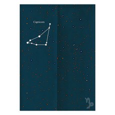 에이홉 슈팅스타 파티션 커튼 양문형