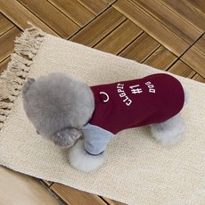 코코스튜디오 반려동물 하네스 유니버셜 1 맨투맨티셔츠, 와인, 1개