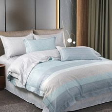 A-ONE 3M吸濕排汗 萊賽爾兩用被套, 洛卡斯