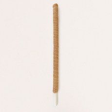 플레노 코코봉 플라스틱 식물지지대 일반 100cm, 1개 1개