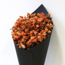 ROMANTIC NOVEMBER 永生乾燥花迷你滿天星花束 黑色, 滿天星 秋季橘