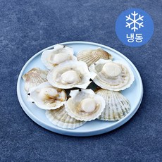 The더착한 반가리비 (냉동), 1개, 720g(20/24미)