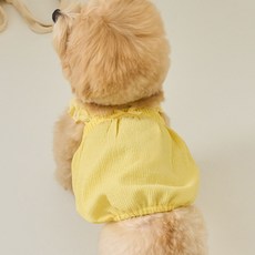 베니즈 강아지 푸딩 벌룬 탑, 옐로우, 1개