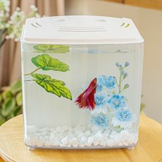 Delphinium Beta 房屋套組, 混合顏色