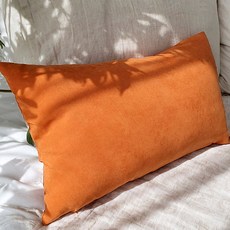 Lead home 陽光生物水洗抱枕套 + 枕芯, 橘色