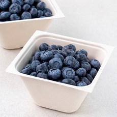산지직송 아주마 유기농 인증 영동 블루베리, 250g, 2개
