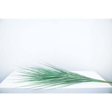 마쉬매리골드 조화 그라스 120cm, 그린, 1개