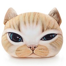 고양이 마니아 기절 쿠션, 찡아