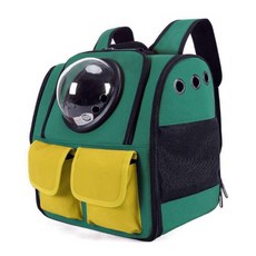 고양이 투명볼 이동 백팩, 초록, 1개