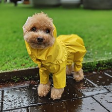 BAIGOEM 狗狗雨衣 Ttorong 氣球連身雨衣, 1個, 黃色