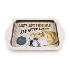 카타파하 빈티지 레트로 철제 복고풍 미니 쟁반, 레이지애프터눈, 1개