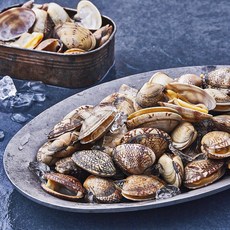 산지직송 부산 13번 중매인 바지락 (냉장), 1kg, 1개