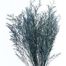 Sonio 裝飾用永恆多彩草束, 02 墨藍色