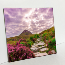 HTP 瓷磚 C579 愛爾蘭國家公園