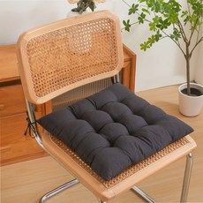 Lumiere d'or 加厚椅墊 2入