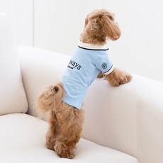 PETSLAND 狗狗Always翻領T恤, 1個, 天藍色