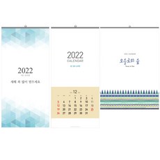 Design Oops 2022年壁掛式日曆 3種組, 混色, 1套