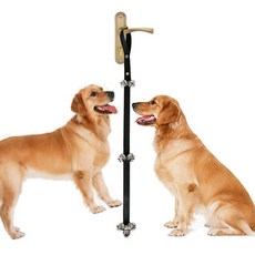 청린 狗狗訓練用品 門鈴繩索玩具, 黑色, 1個