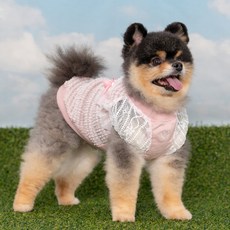 반려동물 레이스 리본 민소매 티셔츠 TS7841, 핑크, 1개