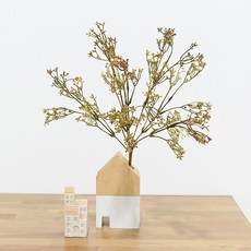 도시정원 캥거루 발톱부쉬 LY634725, 브라운, 1개