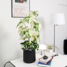 JOART 室內裝飾人造龜背芋 Albog + 造型石 2入 + 花盆組, 1套, 混合顏色(人造植物), 隨機出貨(花盆, 造型石)