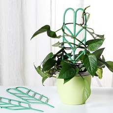 Hwabunworld 多用途藤蔓植物支架 3入, 3個