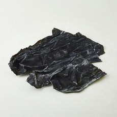 주일 무결점 해풍맞은 완도 다시마 뿌리, 1개, 500g