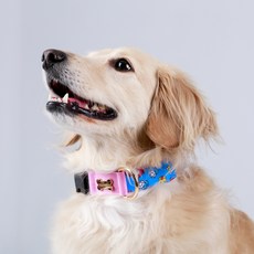 Noradog 狗狗 Kichikichi 寬版項圈, 粉紅色, 1個