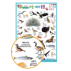 똑똑 스마트 브로마이드 하늘 바다 동물, 한국가우스