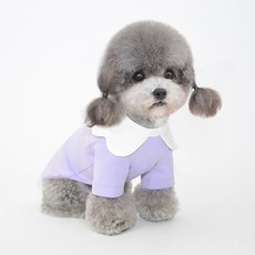 Market A 寵物花朵領狗狗T恤, 紫色