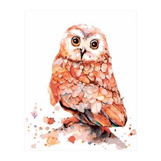 I LOVE PAINTING DIY繪畫組 貓頭鷹款, 混色