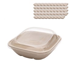 PACKAGE HERO 方形沙拉容器+蓋子 750ml 186*186*66mm, 50套, 1件