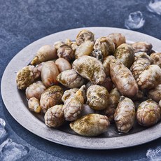 산지직송 부산 13번 중매인 오만둥이 (냉장), 400g, 1개