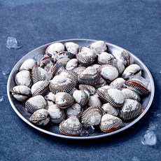 숨비해물 대사이즈 새꼬막 45~65미 (냉장), 1개, 800g