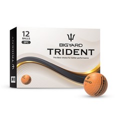 빅야드 트라이던트 골프공 3피스, 오렌지, 12개입, 1개